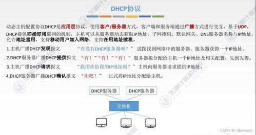 王道考研计算机网络第四章知识点汇总 计算机网络技术的开发