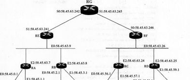 2017年计算机网络技术应用试题解析与开发趋势探讨