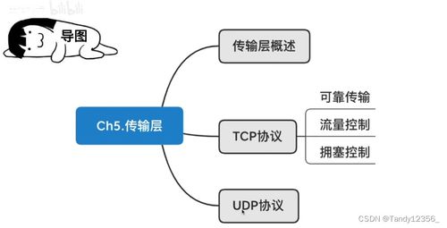 从传层到万物互联 王道考研计算机网络传输层与网络技术的演进